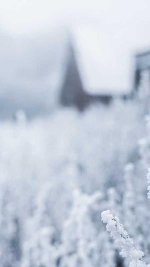 关于蜘蛛池提升收录量截图2