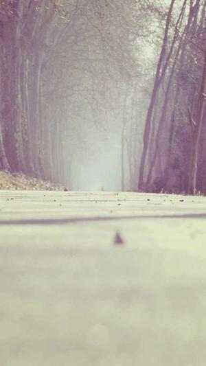 百度蜘蛛池排行榜第几截图5