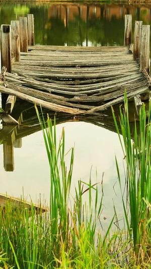 seoer 蜘蛛池截图3