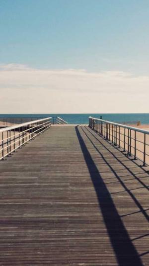 便宜的蜘蛛池怎么用截图5