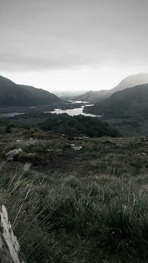 镇江seo优化截图3