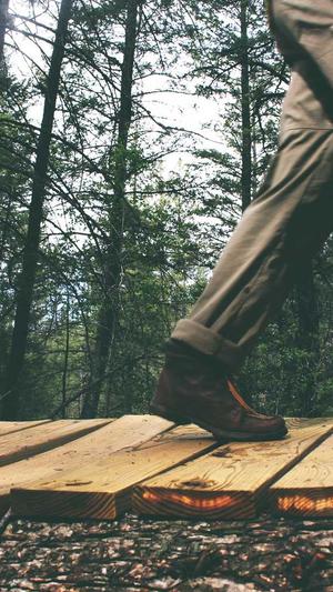 蜘蛛池免费截图3