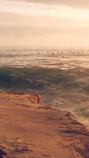 SEO是什么职业截图2