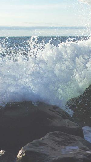 梦幻西游电脑版私服截图2