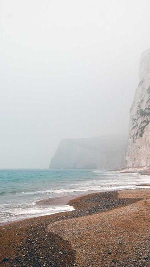 如何制作蜘蛛池视频截图3