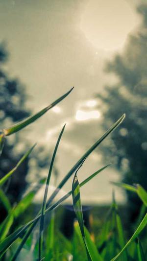 蜘蛛池购买网站是什么截图1