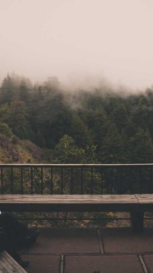 蜘蛛池系统有什么用截图3