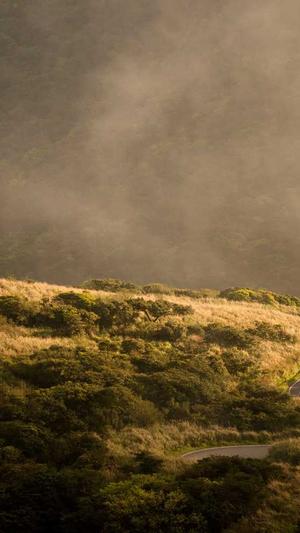 seo优化注意什么截图1