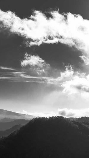 wpk开挂会被发现吗截图5