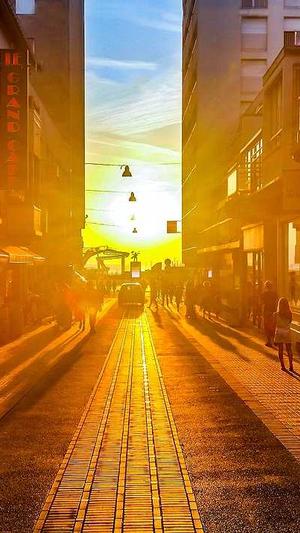 seo优化网站推广截图3