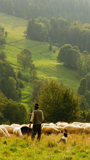 逐鹿泛目录程序截图3