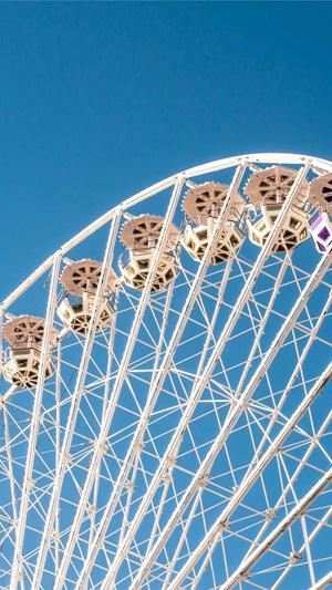 seo百度秒收录泛目录截图3