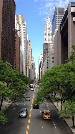 超级蜘蛛池怎样进去截图1