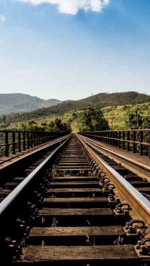 秒收录泛目录站群截图2