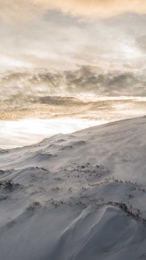 泛目录秒收录技巧截图2