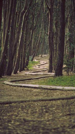 蜘蛛池出租价格合理嘛截图3