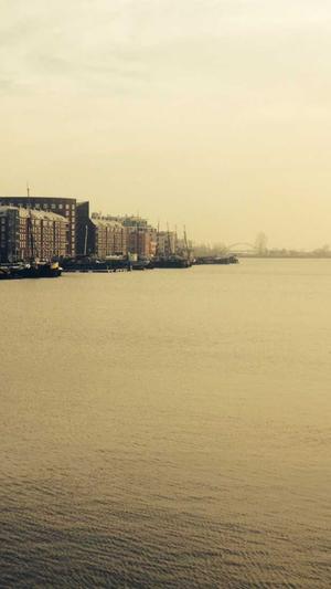 出租高权重泛目录截图5