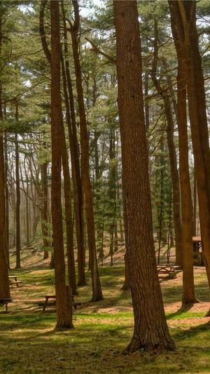 梦幻西游私服服务端截图5