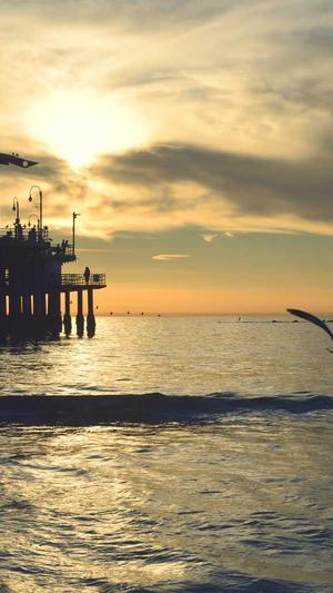 seo关键词排名优化软件截图4