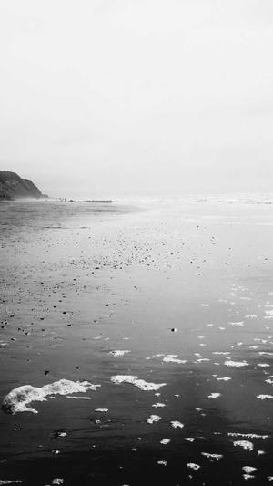 梦幻西游私服变态版截图3