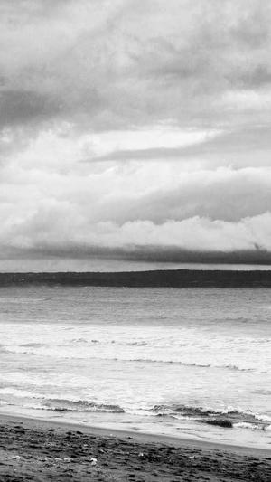 如何建立蜘蛛池截图1