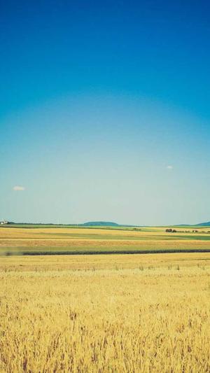 泛域名泛目录截图1