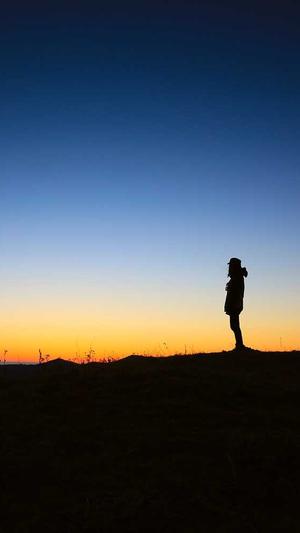 泛目录秒收录技巧截图4