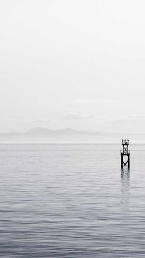 蜘蛛池是什么池子截图2