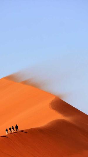 泛目录源码询问 旺客专家好截图3