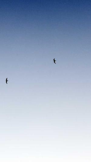 泛目录怎么做分类截图2