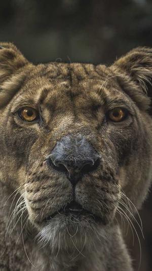 杭州seo优化公司截图4