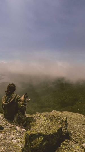 上海蜘蛛池出租服务截图1