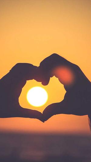 自己搭建蜘蛛池截图5