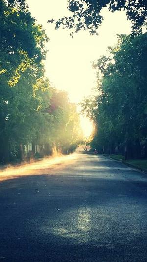 如何建立蜘蛛池截图3