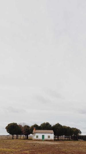 泛目录整站代做截图3