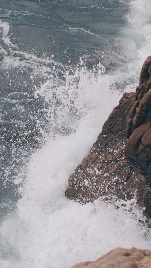 宁夏蜘蛛池出租服务截图2