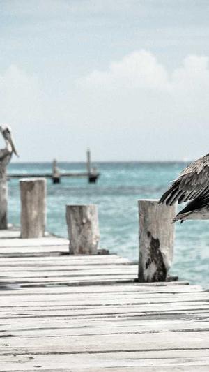 南宁seo优化截图3