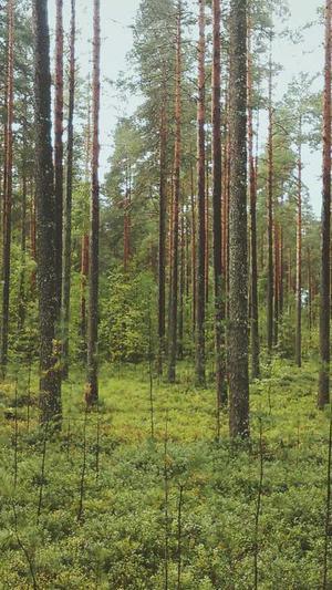 百度seo培训截图4