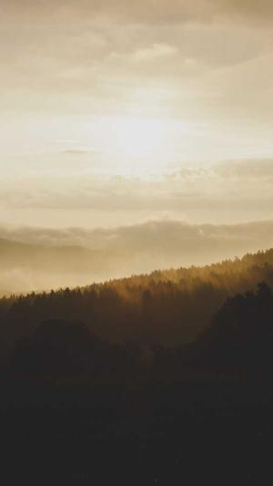 如何优化淘宝seo排名截图3