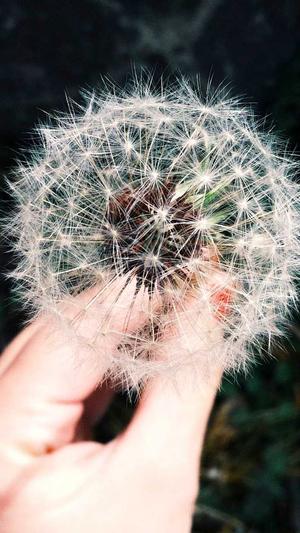 梦幻西游有没有私服截图4