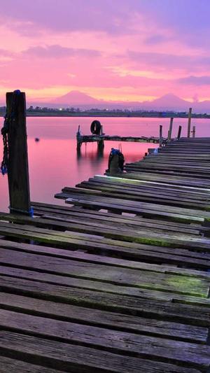 天道泛目录截图3