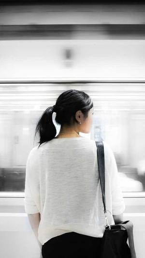 蜘蛛池引目录怎么做截图1