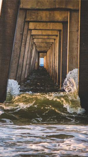 泛目录是什么广告截图2