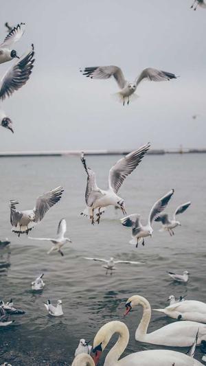 泛目录秒收录技巧截图3