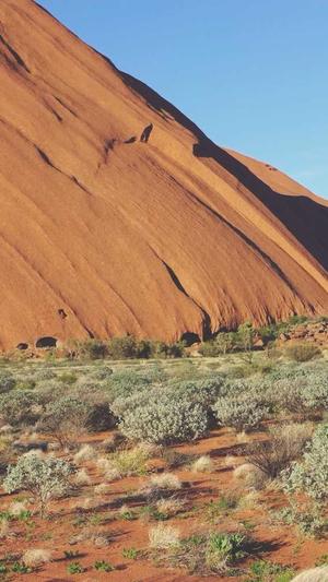 山林自建蜘蛛池截图3