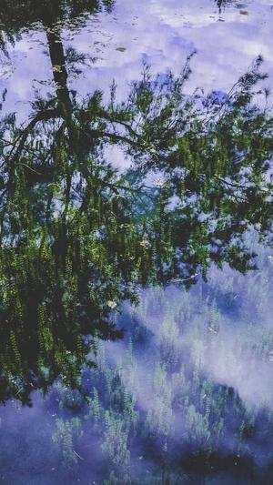 梦幻西游武神坛私服截图3