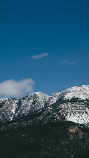 蜘蛛池出租价格合理嘛截图1