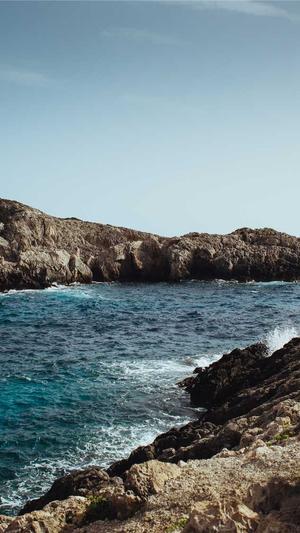 蜘蛛池秒收录截图1