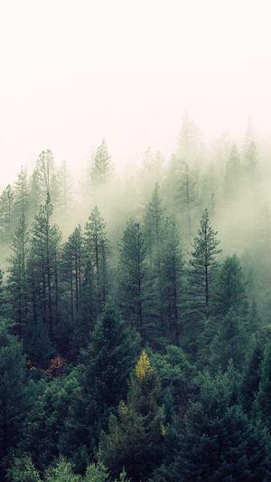 seo网站排名优化公司截图2