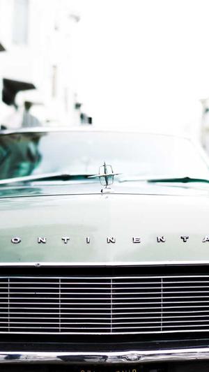 百度蜘蛛池搭建图片截图5